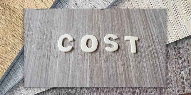 Cost of Vinyl Flooring in India