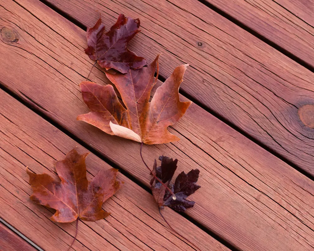 Ipe Decking